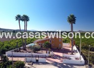 Venta - Finca - Orihuela