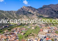 Venta - Finca - Orihuela