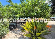 Venta - Finca - Orihuela