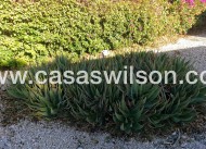 Venta - Finca - Orihuela