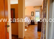 Venta - Finca - Orihuela