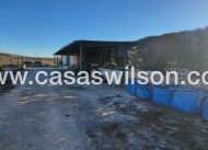 Venta - Finca - San Miguel de Salinas