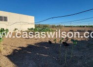 Venta - Finca - San Miguel de Salinas