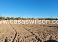 Venta - Finca - San Miguel de Salinas