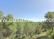 Venta - Finca - Villena - Inland