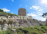 Venta - Local comercial - San Miguel de Salinas