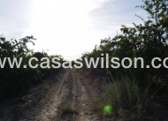 Venta - Plot of Land - Torremendo