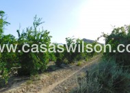 Venta - Plot of Land - Torremendo
