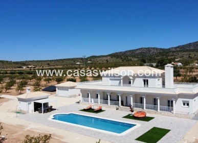 Villa - Nieuwbouw - Pinoso - Camino Del Prado