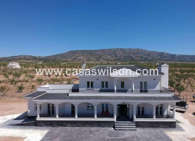 Villa - Nieuwbouw - Pinoso - Camino Del Prado