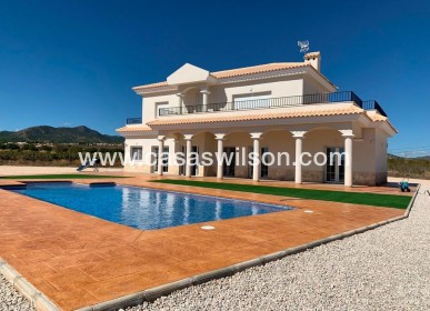 Villa - Nieuwbouw - Pinoso - Camino Del Prado