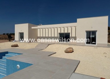 Villa - Nieuwbouw - Pinoso - Camino Del Prado