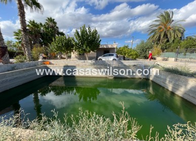 Villa - Sale - Crevillente - Inland