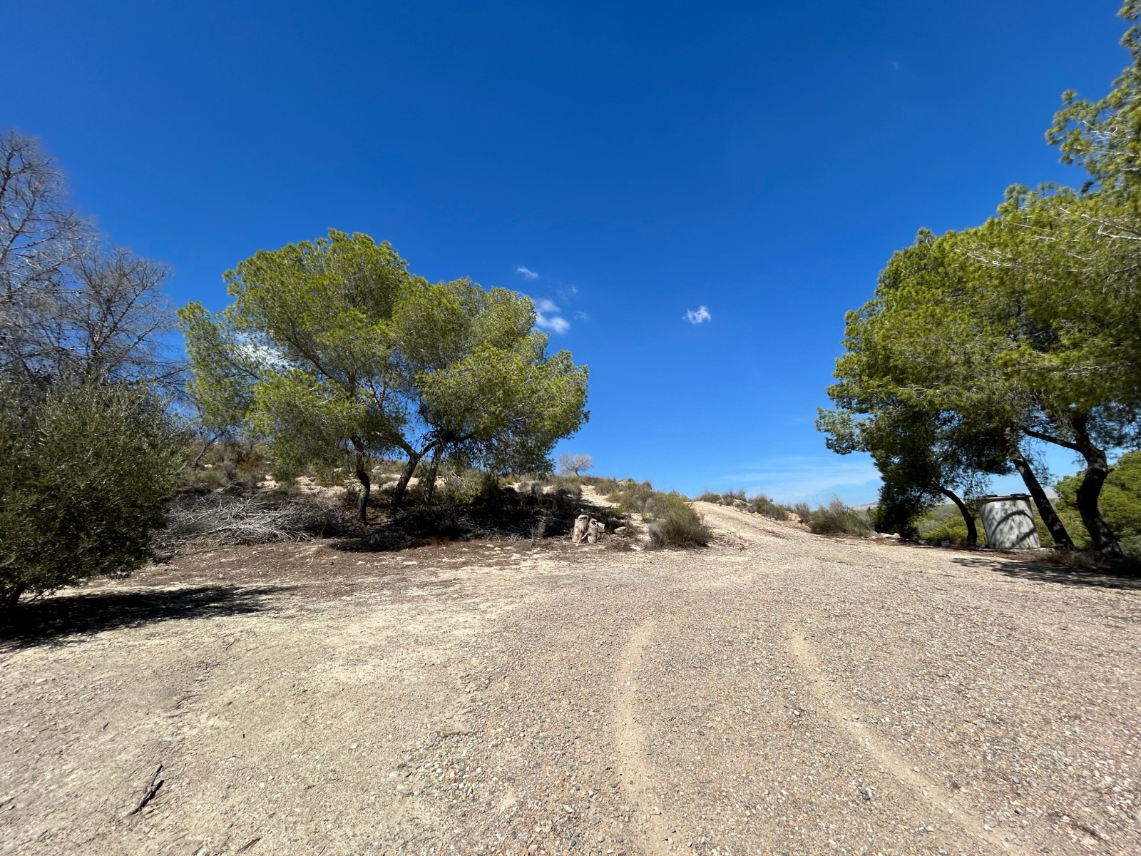 Finca · Reventa - Torremendo · Alicante · España
