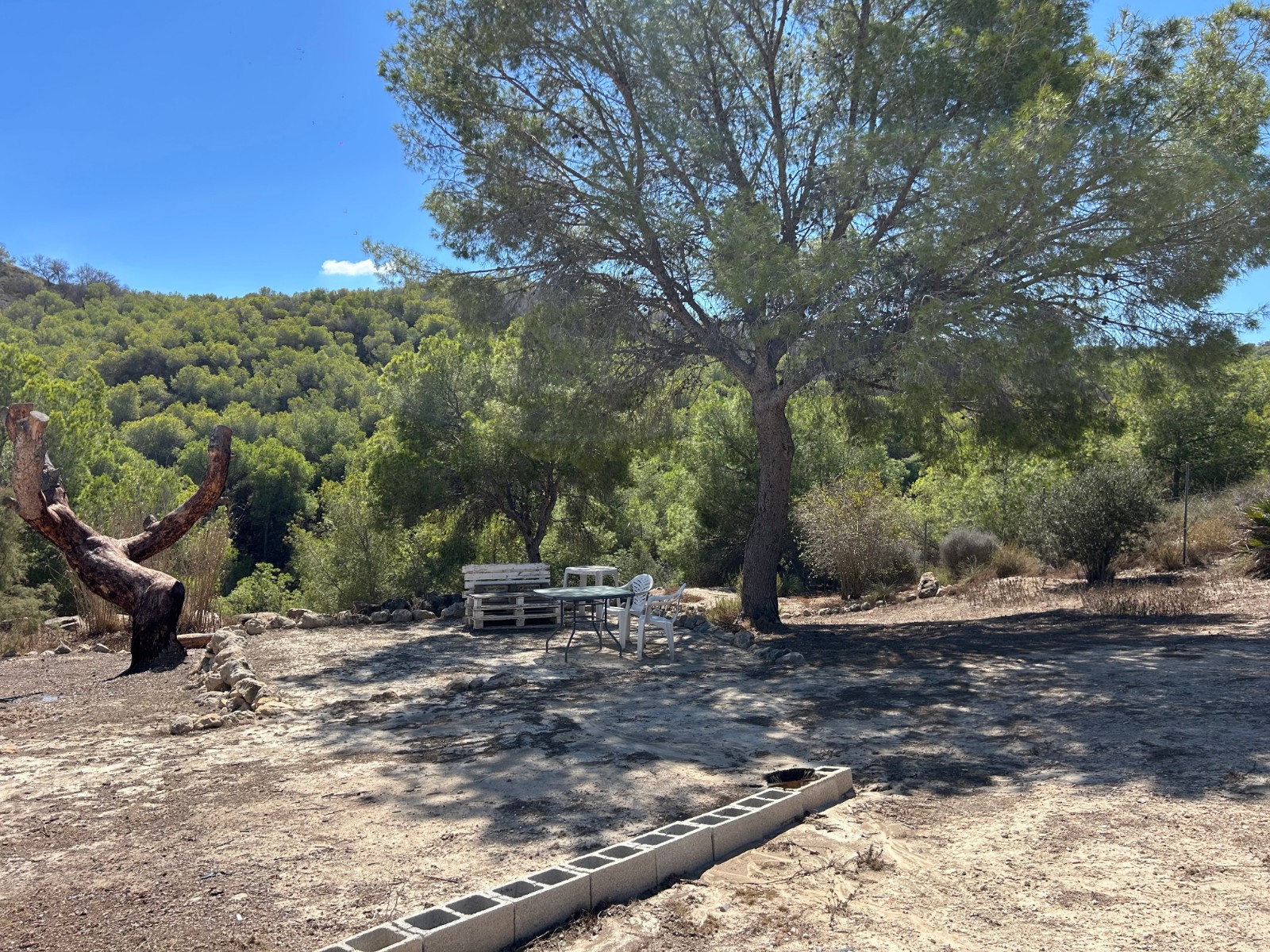 Finca · Reventa - Torremendo · Alicante · España