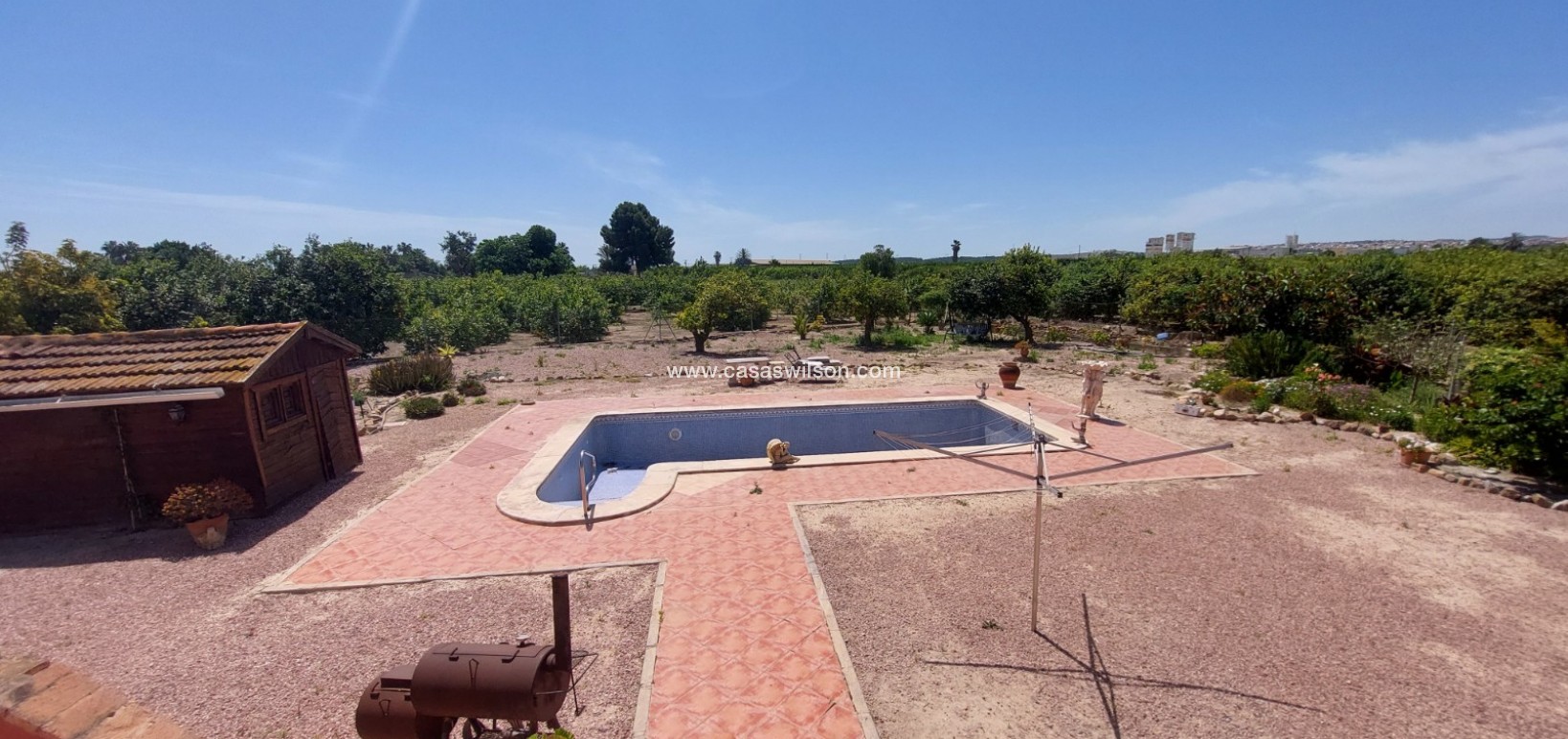 Sale - Country Property/Finca - San Miguel de Salinas