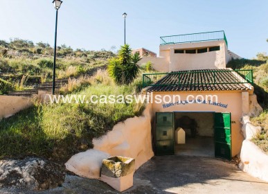 New Build - Villa - Rojales - Doña Pena