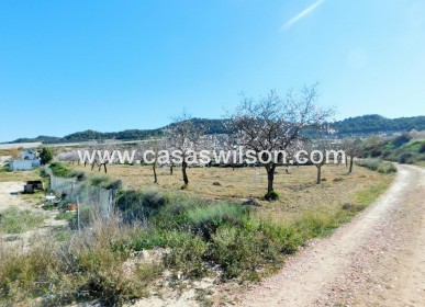 Venta - Finca - Torremendo