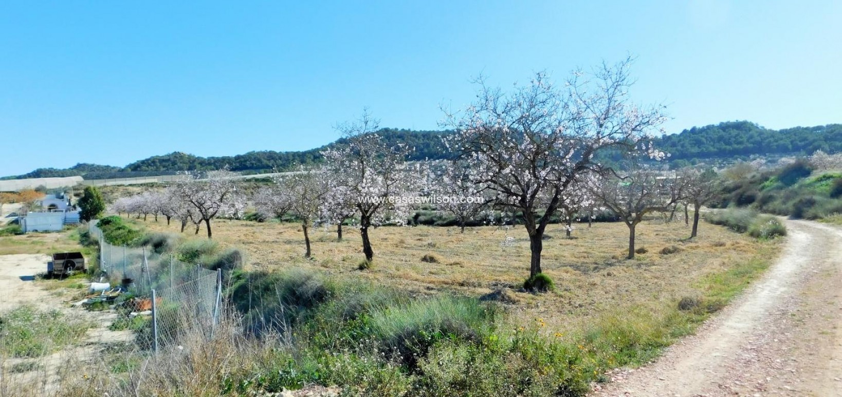 Sale - Country Property/Finca - Torremendo