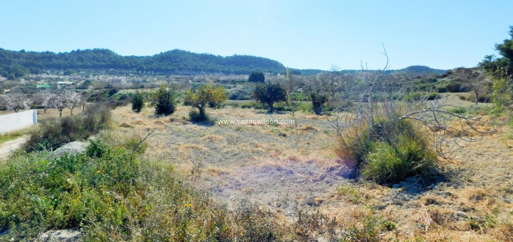 Venta - Finca - Torremendo