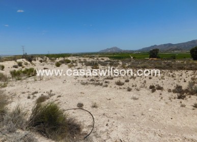 Venta - Plot / Land - Fortuna - FORTUNA (MURCIA)