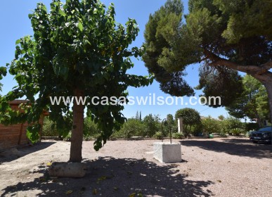 Sale - Country Property/Finca - Daya Nueva