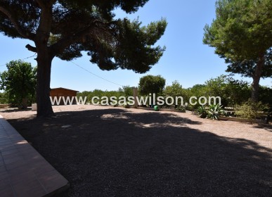 Sale - Country Property/Finca - Daya Nueva