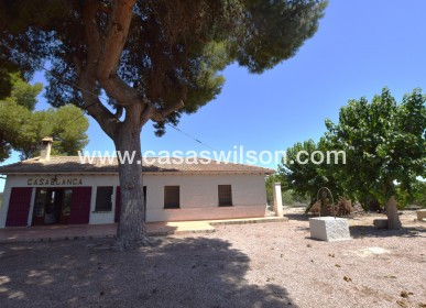 Sale - Country Property/Finca - Daya Nueva