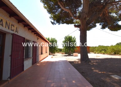 Sale - Country Property/Finca - Daya Nueva