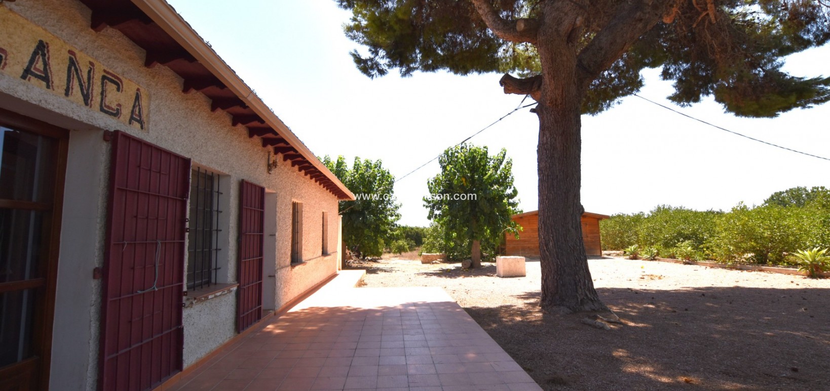 Sale - Country Property/Finca - Daya Nueva