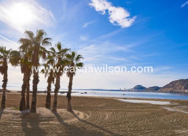 New Build - Villa - Els Poblets - Marina Alta