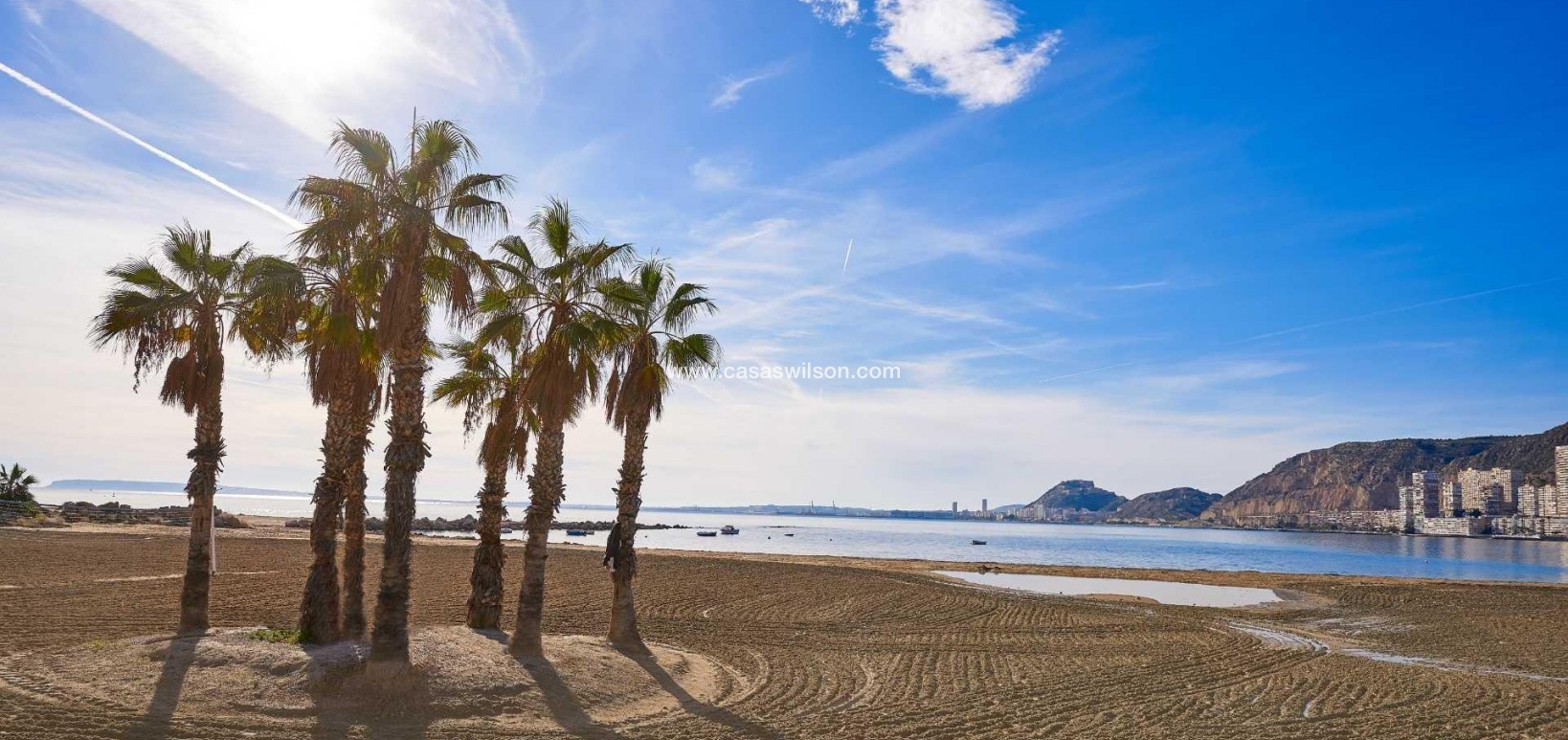 New Build - Villa - Els Poblets - Marina Alta