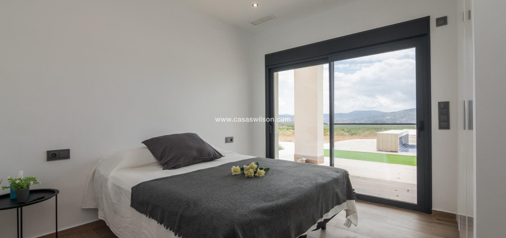 New Build - Villa - Pinoso - Campo