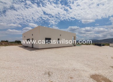New Build - Villa - Pinoso - Campo