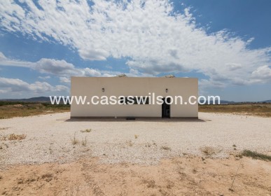 New Build - Villa - Pinoso - Campo