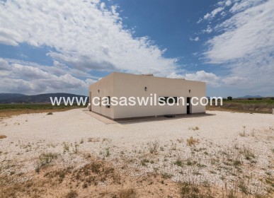 New Build - Villa - Pinoso - Campo