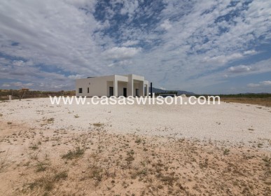 New Build - Villa - Pinoso - Campo
