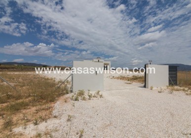 New Build - Villa - Pinoso - Campo