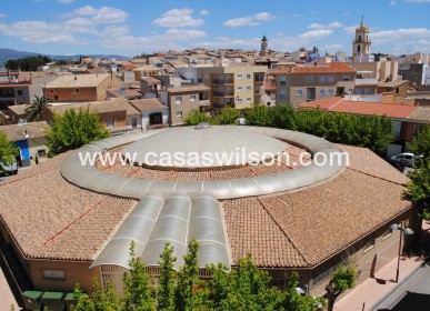 New Build - Villa - Pinoso - Campo