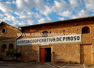 New Build - Villa - Pinoso - Campo