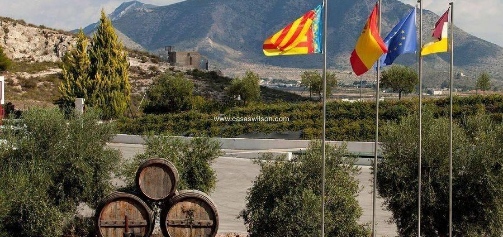 New Build - Villa - Pinoso - Campo