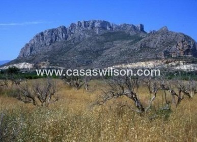 New Build - Appartement - El Verger - Zona De La Playa