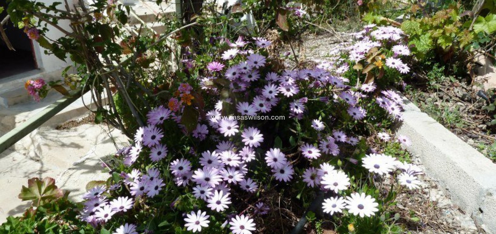 Sale - Villa - Murcia