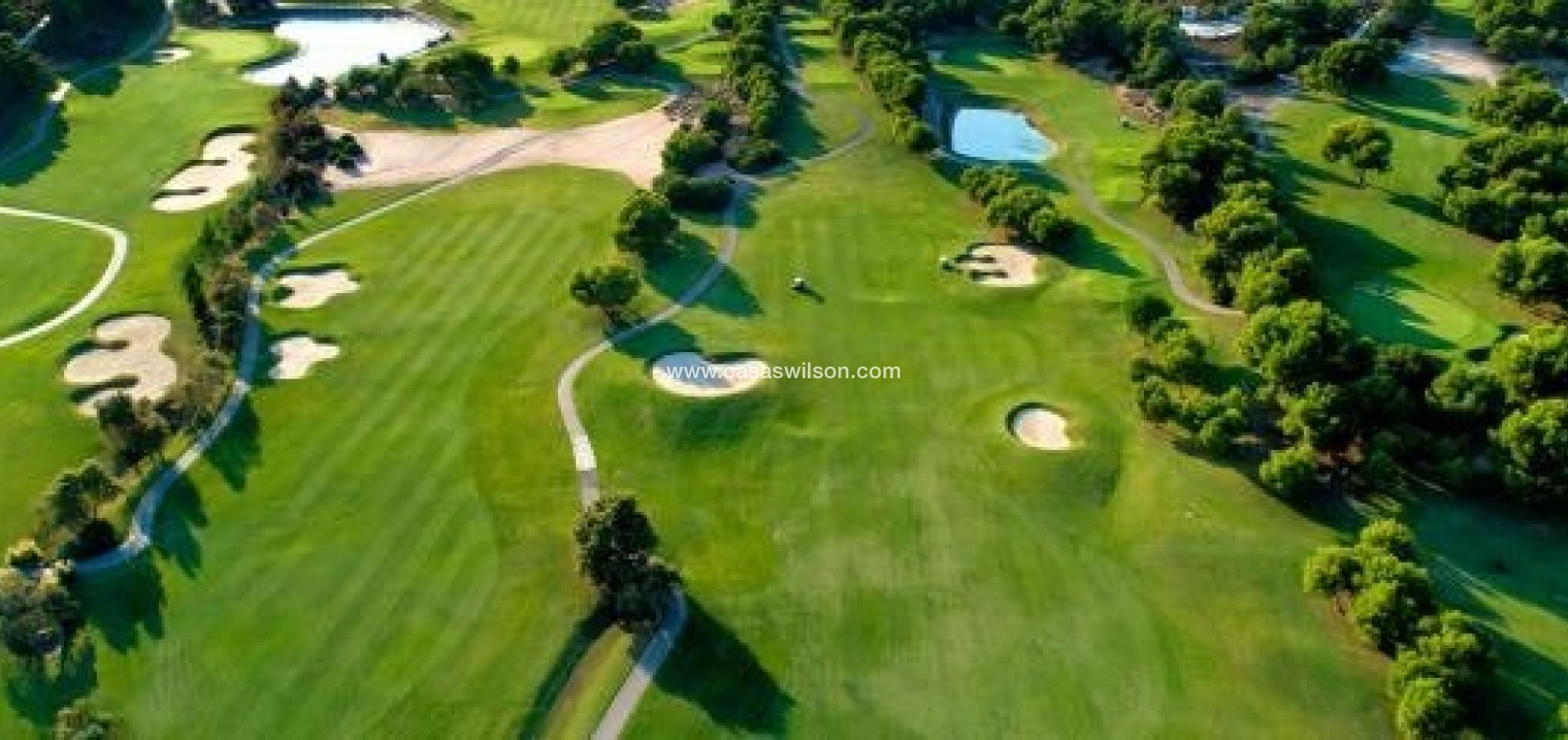 New Build - Villa - Pilar de la Horadada - Lo Romero Golf