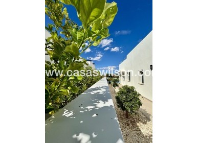 New Build - Villa - Benijofar