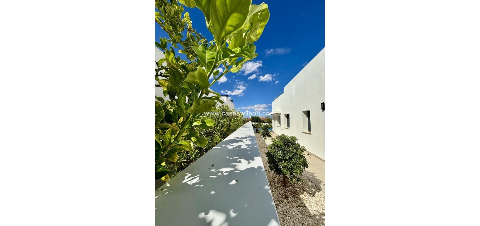 New Build - Villa - Benijofar