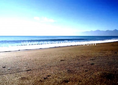 New Build - Appartement - Torrevieja - Centro