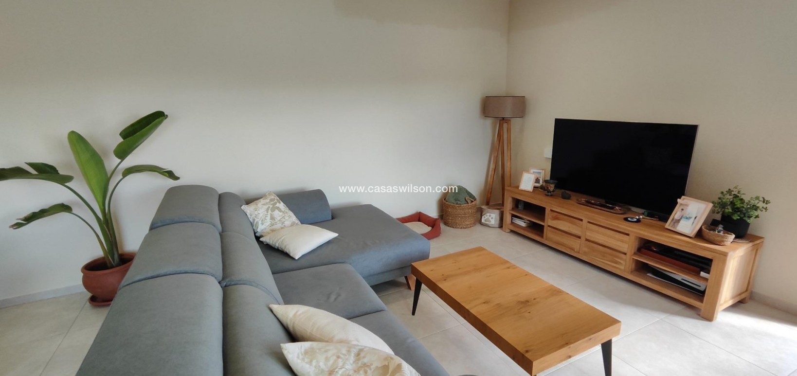 New Build - Villa - Pinoso - Campo