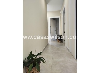 New Build - Villa - Pinoso - Campo