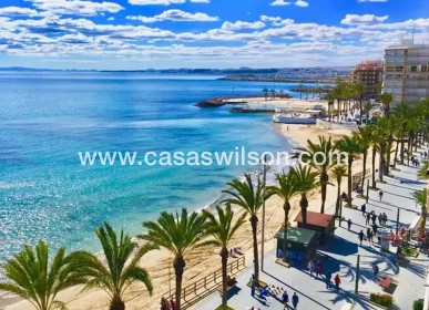 New Build - Appartement - Torrevieja - Playa del Cura